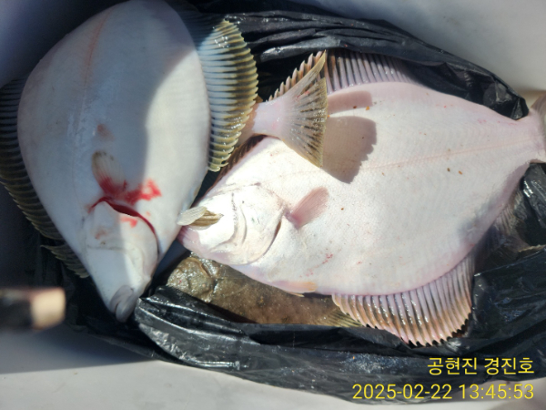 KakaoTalk_20250222_134751489_03.jpg
