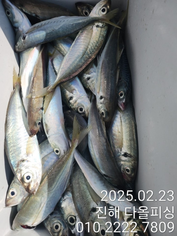 KakaoTalk_20250223_161039268_05.jpg