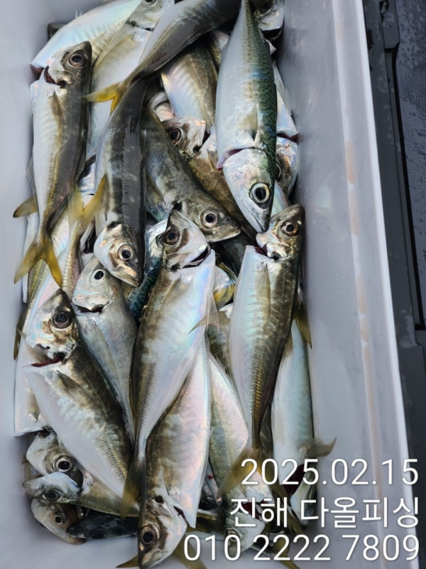 KakaoTalk_20250216_155719350_04.jpg