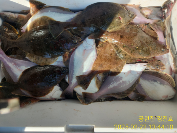 KakaoTalk_20250222_134751489_10.jpg