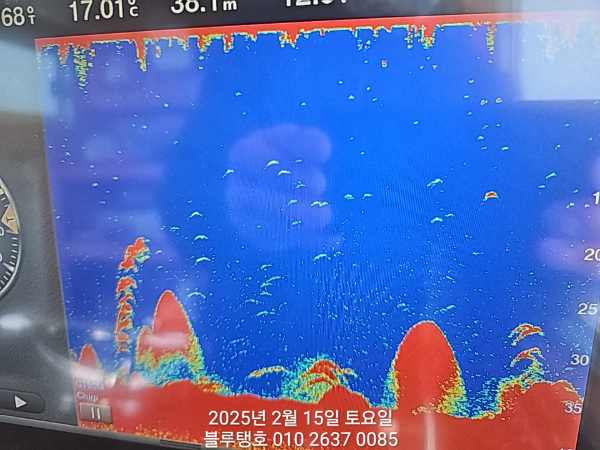 1000033832.jpg