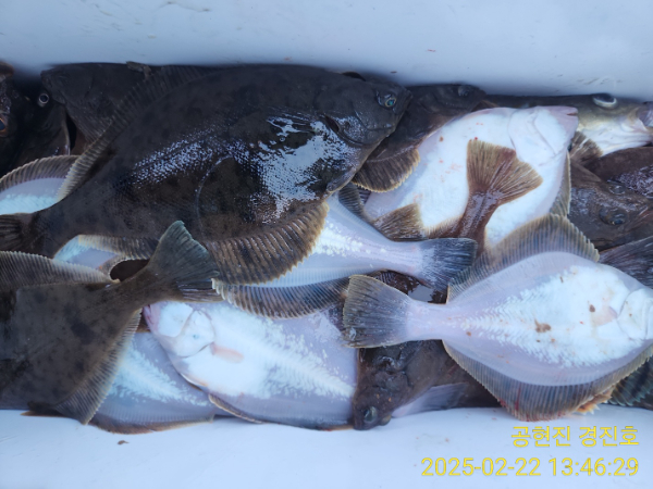 KakaoTalk_20250222_134751489_01.jpg