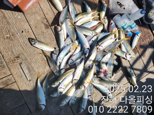 KakaoTalk_20250223_161039268_09.jpg