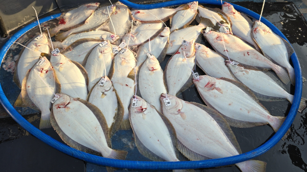 [크기변환]KakaoTalk_20250326_192947016_02 - 복사본.jpg