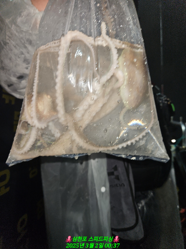 KakaoTalk_20250302_171037554_08.jpg