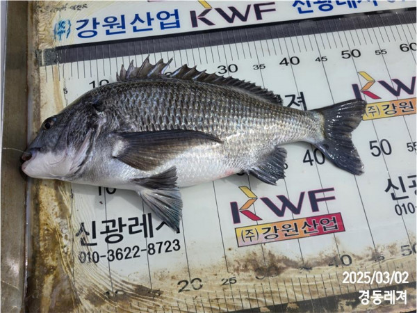 신광낚시 이미지