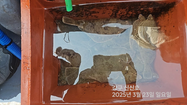 신신낚시 강구점 신신호_사진_20250323_16.jpg