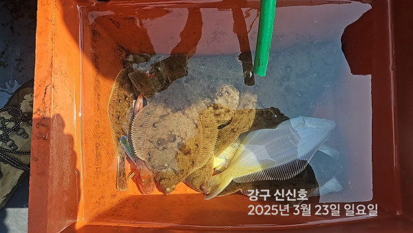 신신낚시 강구점 신신호_사진_20250323_18.jpg