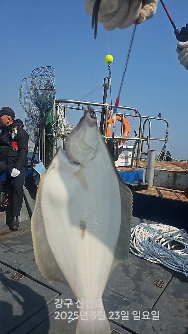 신신낚시 강구점 신신호_사진_20250323_2.jpg