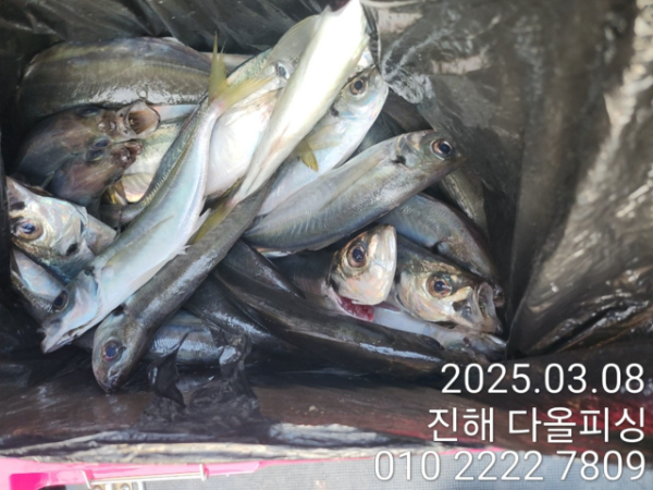 KakaoTalk_20250308_182714795_08.jpg