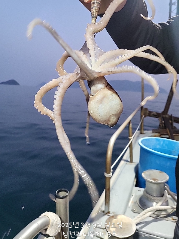 KakaoTalk_20250309_193125375.jpg