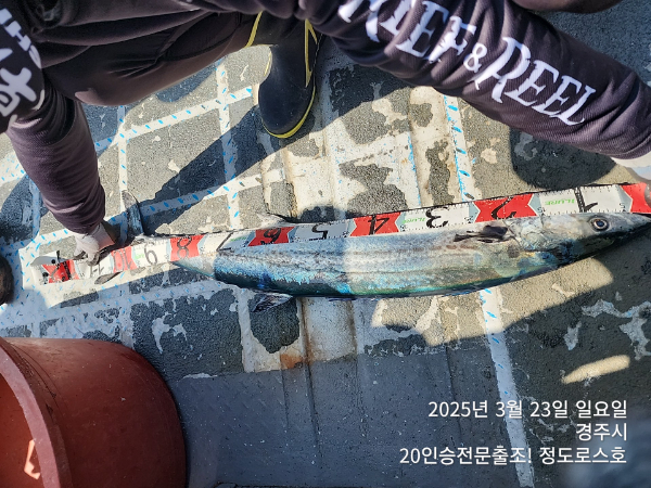 TimePhoto_20250323_115641.jpg