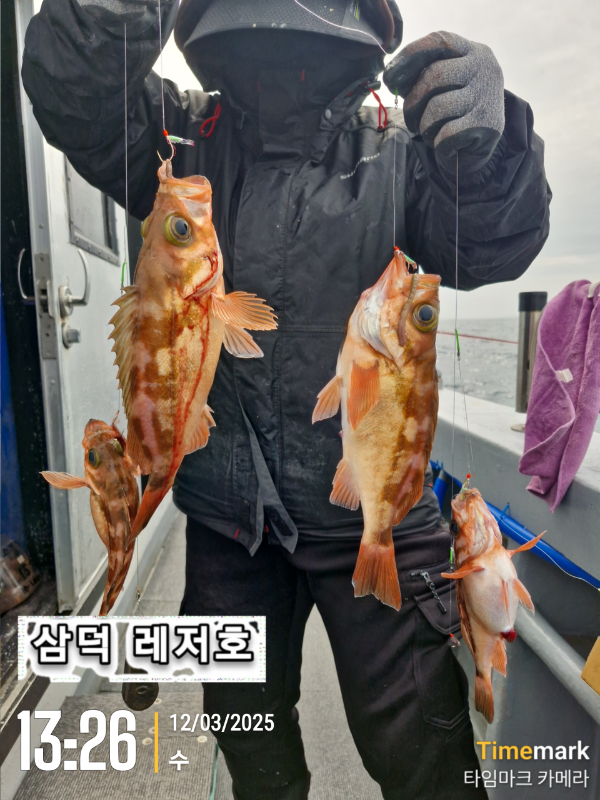 2025-03-12 13.26.13_.jpg