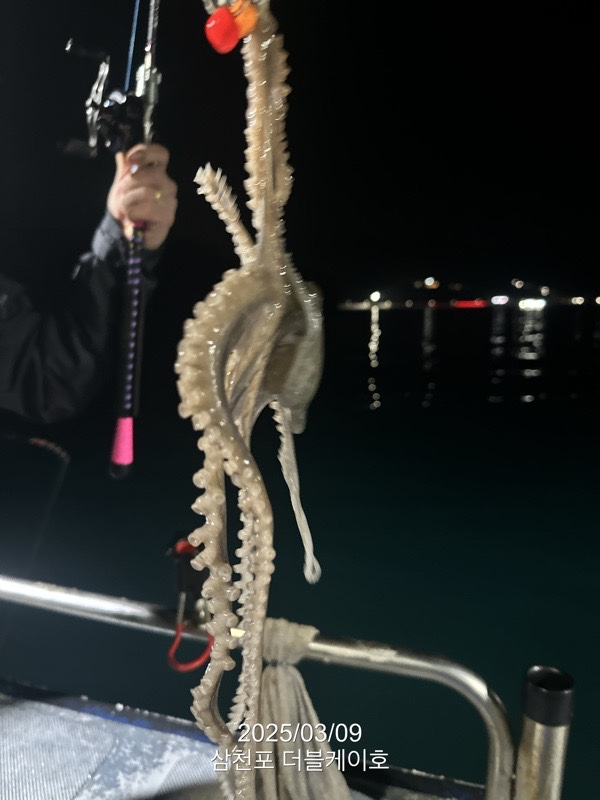 KakaoTalk_20250309_195437638_03.jpg