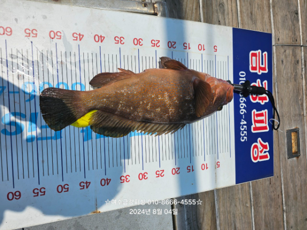 여수금강피싱_사진_20250331_6.jpg