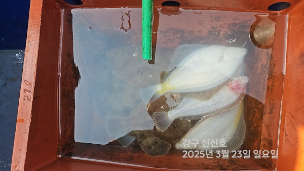 신신낚시 강구점 신신호_사진_20250323_17.jpg
