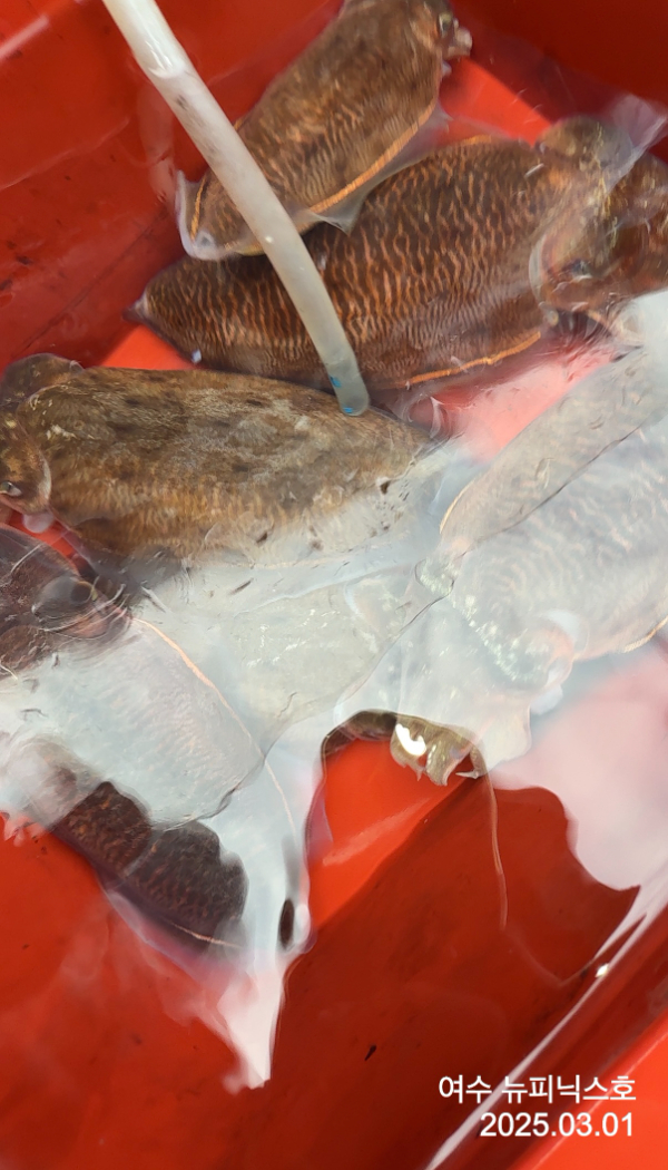 3월1일 심해갑 (1).jpg