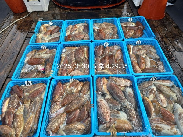6C8F0A1C-A234-4EDA-95BD-CF15C83AFF13.jpeg