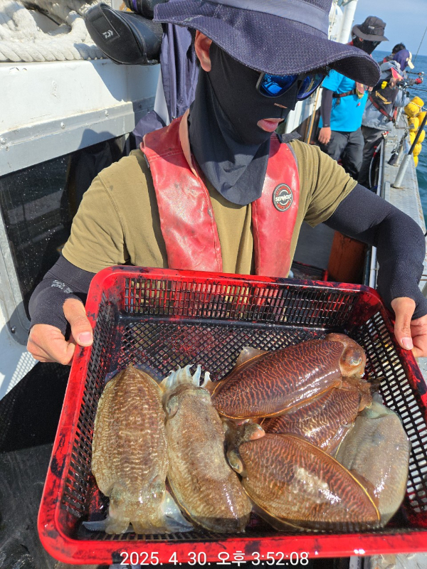 제주선상낚시피닉스호_사진_20250430_15.jpg