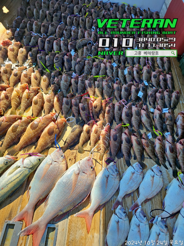 고흥베테랑호_사진_20241024_14.jpg