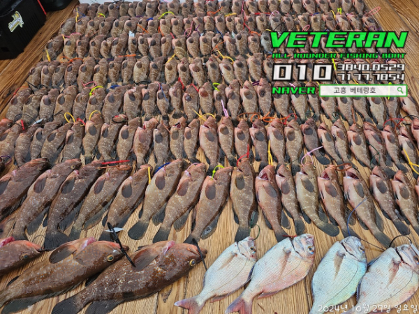 고흥베테랑호_사진_20241027_24.jpg