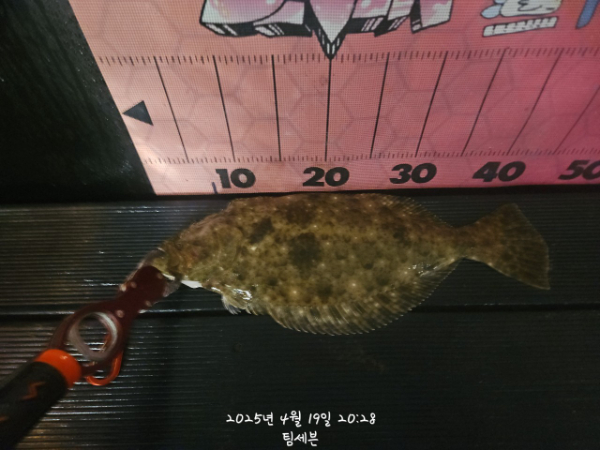 d_dd9Ud018svcnut9s95q0vv2_82sd02.jpg