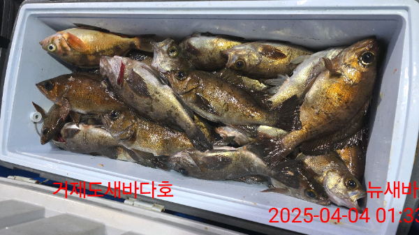 40aa7bdcedccd6362cf2309f5a22539e.jpg