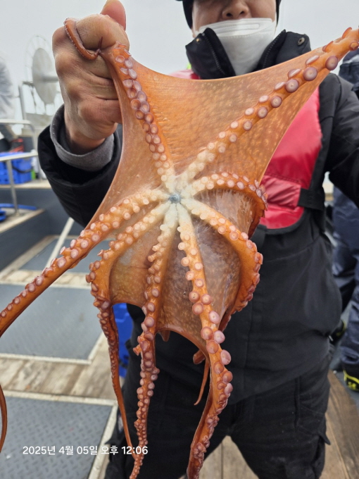 [크기변환]공현진낚시마트(돌핀호)_사진_20250405_4.jpg
