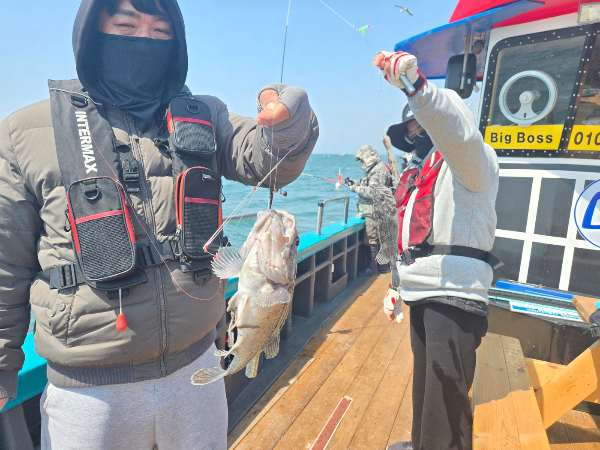 IMG_7936.jpeg