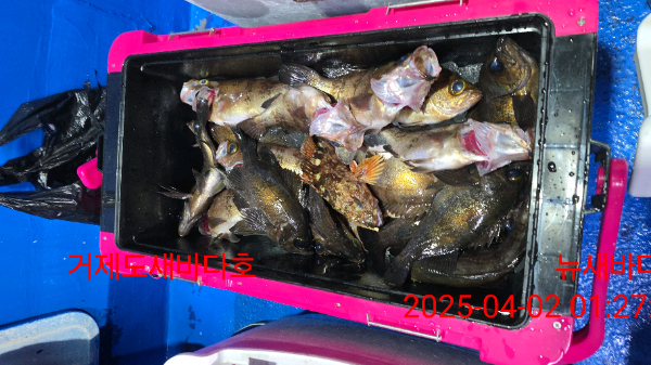 5f039b924e94fda9ab9068cc8f304656.jpg