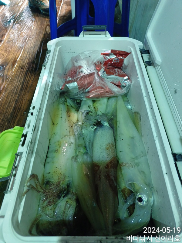 진해바다낚시(신아라호)_사진_20240519_9 - 복사본.jpg