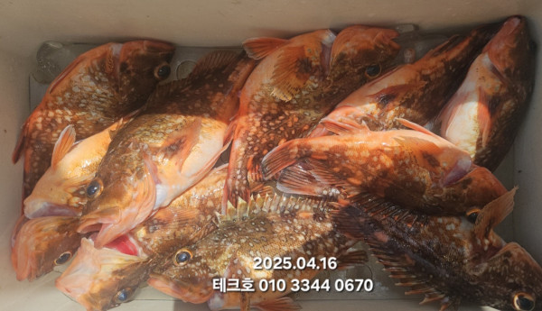 KakaoTalk_20250416_215229812_09.jpg