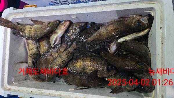 90d4cd32fb522e21d09f8db72f829f89.jpg