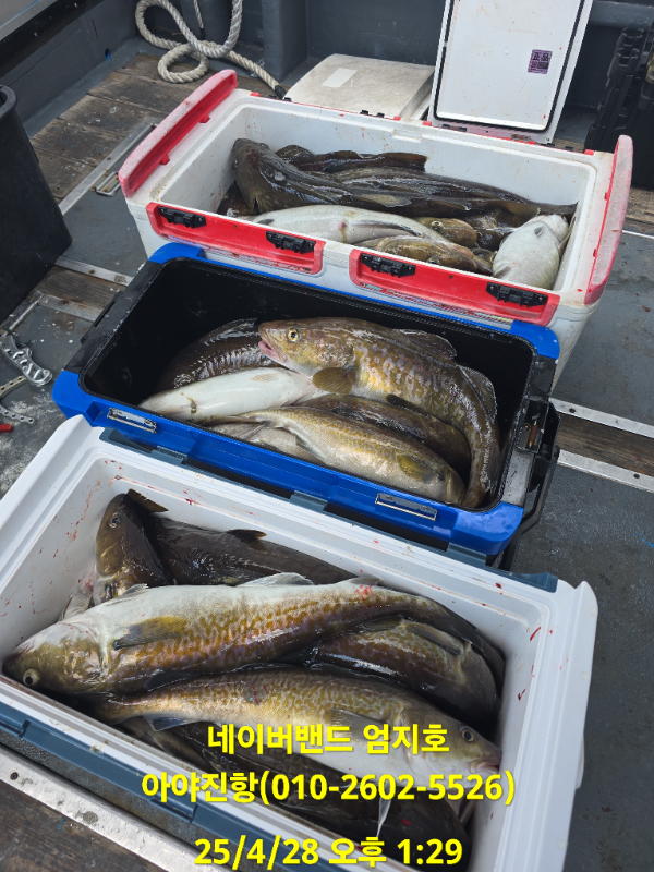 95f7d87180a9d56b4e339da3108c4068.jpg