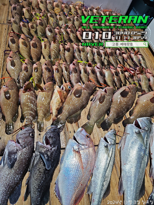 고흥베테랑호_사진_20241103_14.jpg