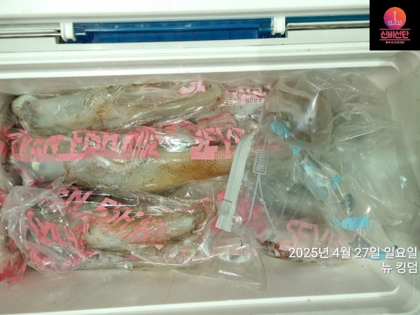 용주피싱_갈치낚시_갑오징어_문어_한치낚시_쭈꾸미_생활낚시_외수질_사진_20250430_4.jpg