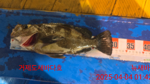 b59fbd19ee06621abe88f9d8ecfa56a5.jpg