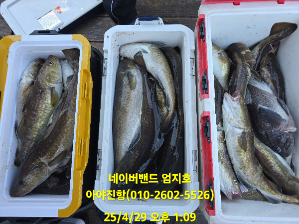 b6689de501b42e3e377615e94dc32de6.jpg