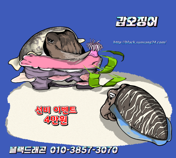cu1726464579412.png