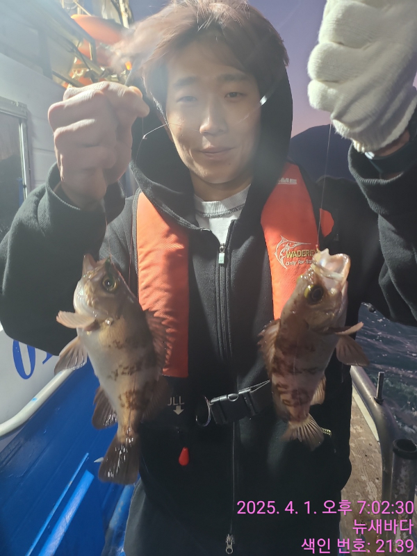 bdba73cc249333253ab00a677f07ffd8.jpg