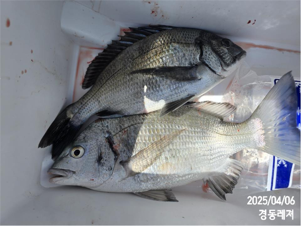 슬라이드0007.jpg
