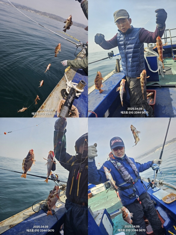 KakaoTalk_20250410_141654292_02.jpg