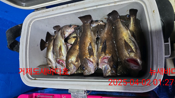 e8e355b92d420e6726b59941bc5acf28.jpg