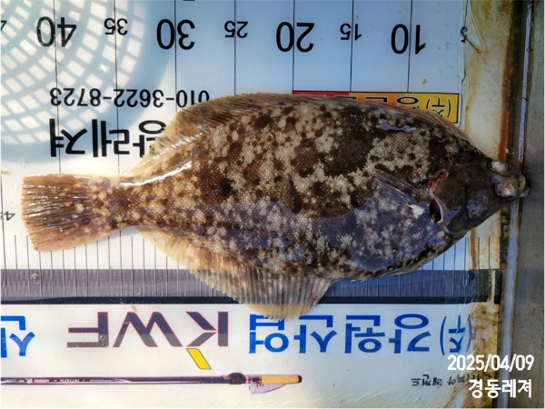 슬라이드0002.jpg