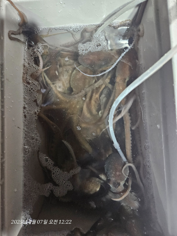 ee79e83322e335828ee757c5cb1e017b.jpg