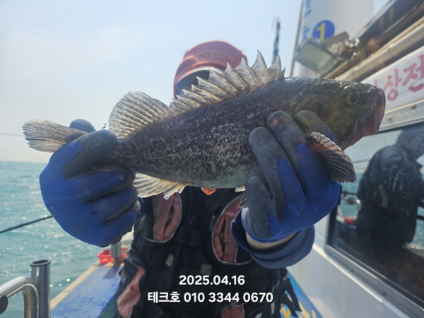 KakaoTalk_20250416_215229812.jpg