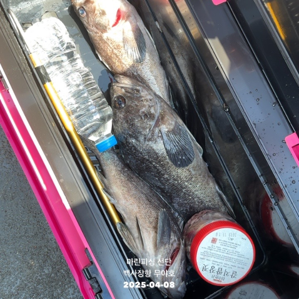TC_07438.jpeg