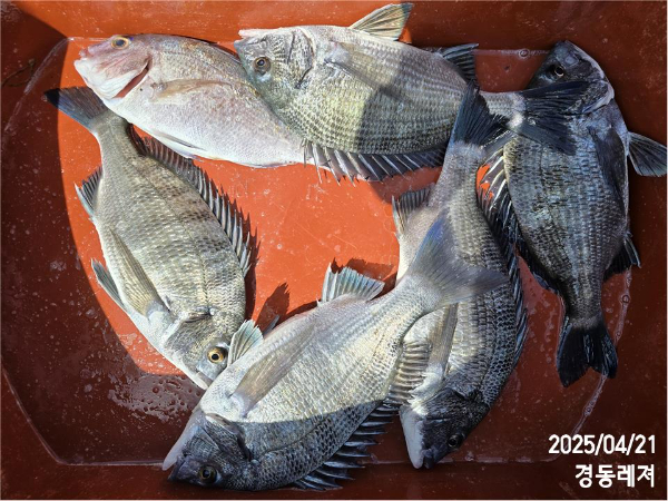 슬라이드0005.jpg