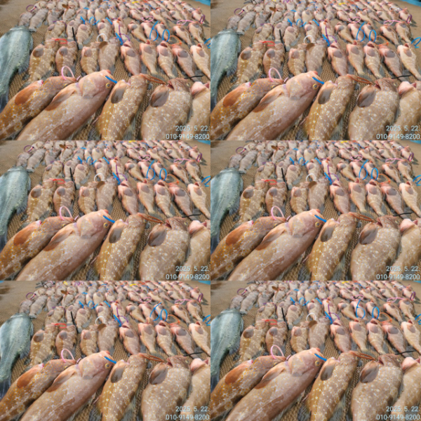 1000016704.jpg