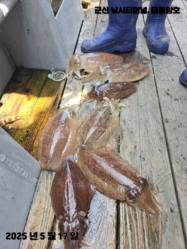 KakaoTalk_20250517_153904114_05 (1).jpg